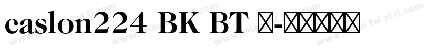 caslon224 BK BT 粗字体转换